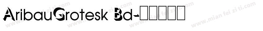 AribauGrotesk Bd字体转换
